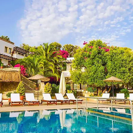 4reasons + Bistro | 12+