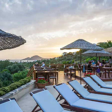 호텔 4reasons + Bistro | 12+