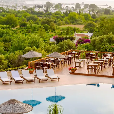 호텔 4reasons + Bistro | 12+