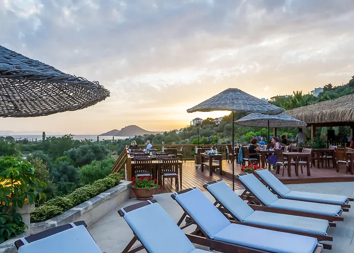 Hotel 4reasons + Bistro | 12+